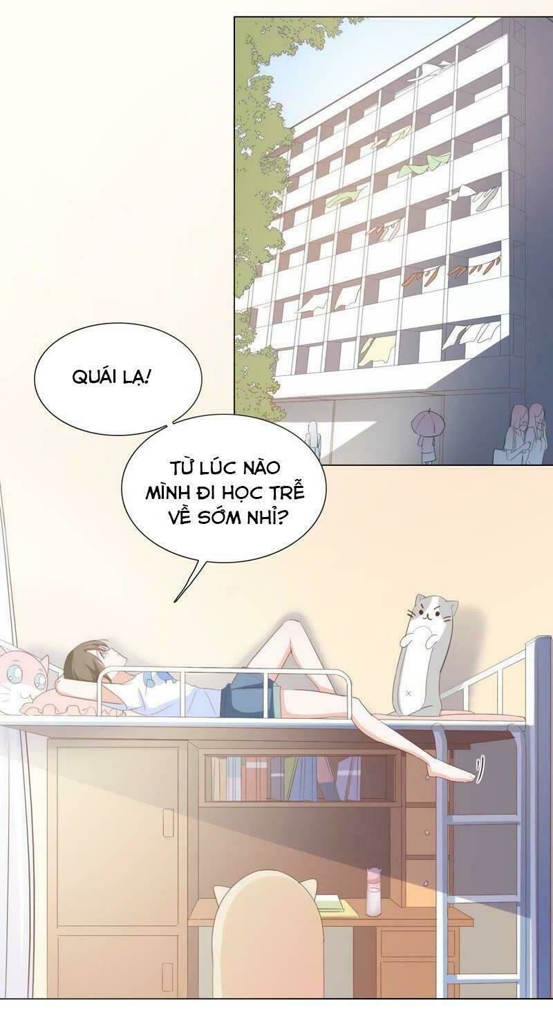 thập nhị hắc miêu chapter 4 6