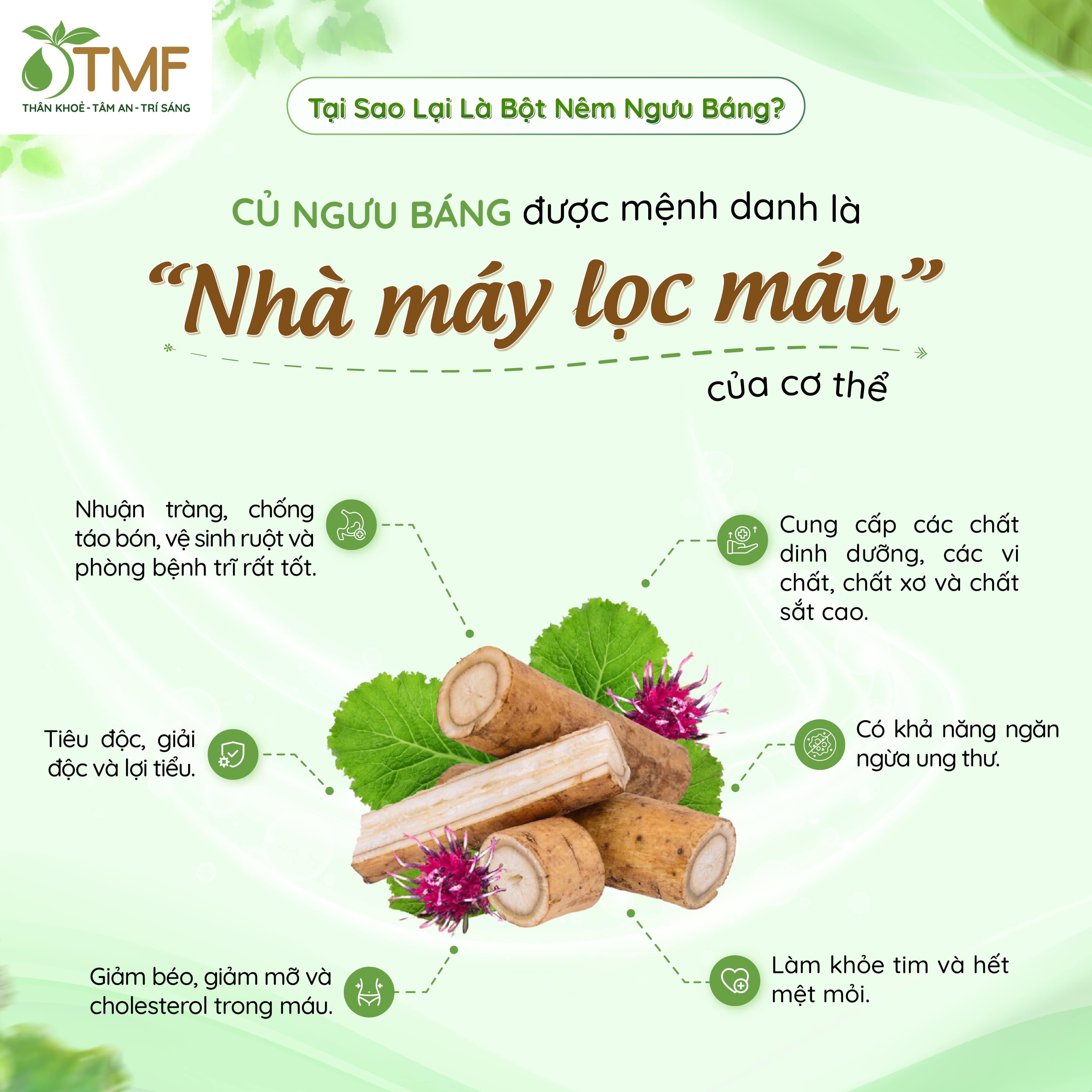 Combo 2 gói Bột nêm ngưu báng 60g thuần tự nhiên không bột ngọt cho bé TÂM MINH FOODS