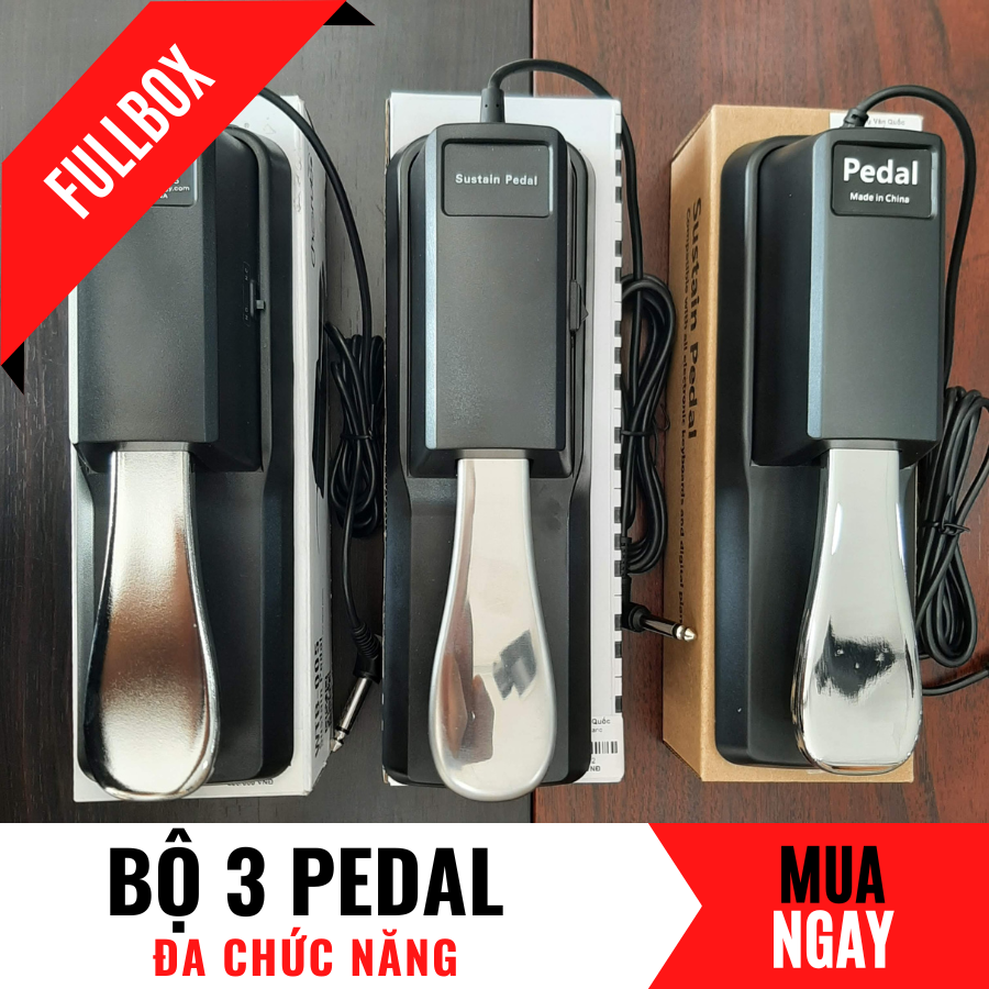 Pedal Dậm Vang Cho Đàn Organ Và Piano Điện (Fullbox