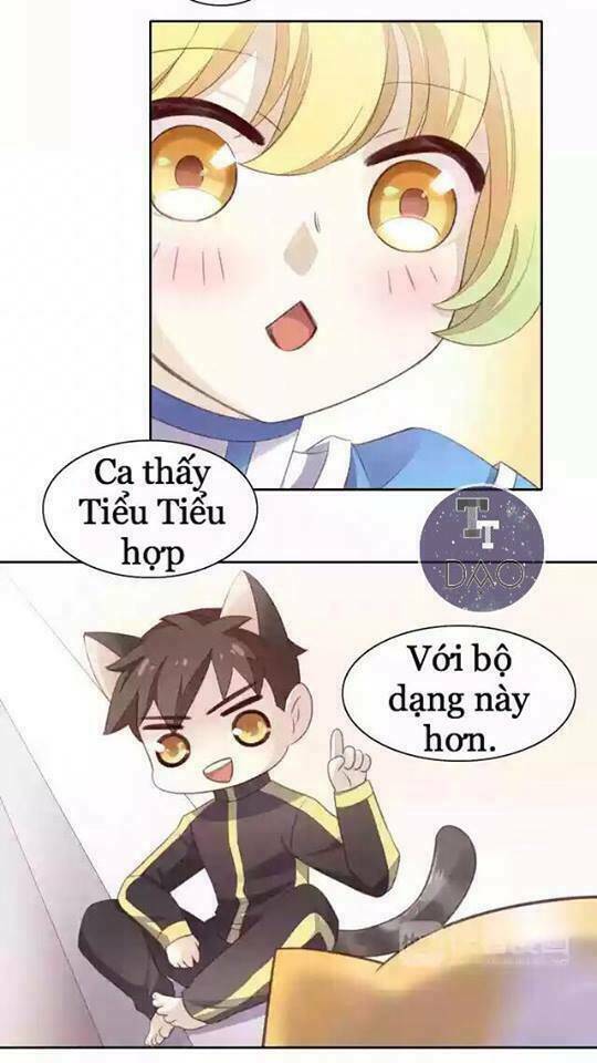 dưới móng vuốt mèo chapter 11 35