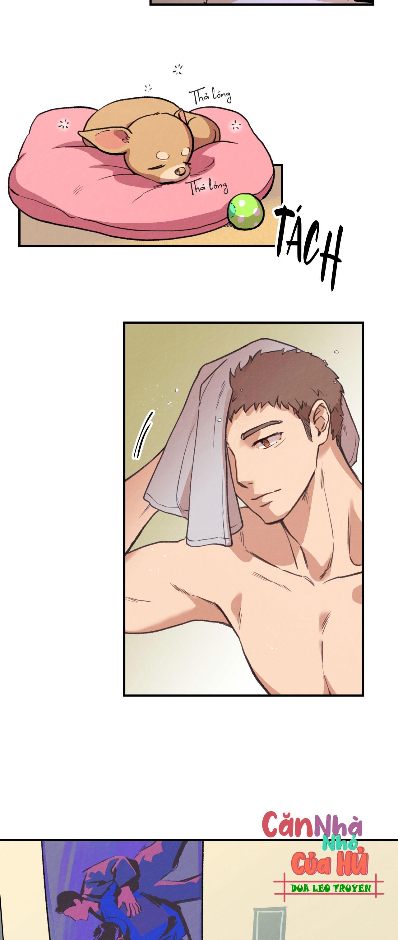 mật gấu chapter 1 41