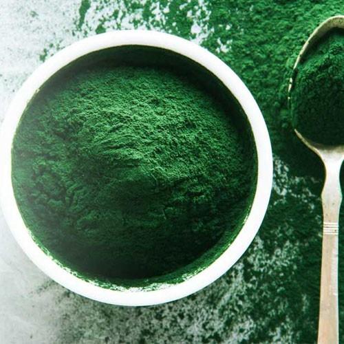 Tảo bột Spirulina hộp 500Gram- nuôi artemia, bobo- Thức ăn cho tép cảnh, cá cảnh -phụ kiện thủy sinh-shopleo