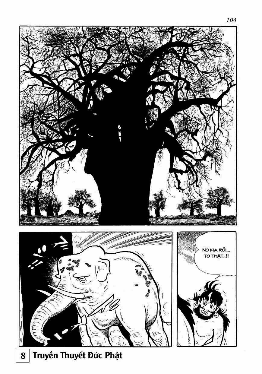 buddha - truyền thuyết đức phật chapter 36 42
