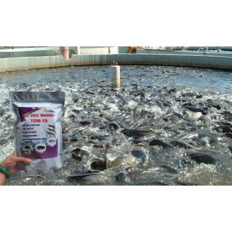 Siêu vỗ béo tăng trọng tôm cá 1kg