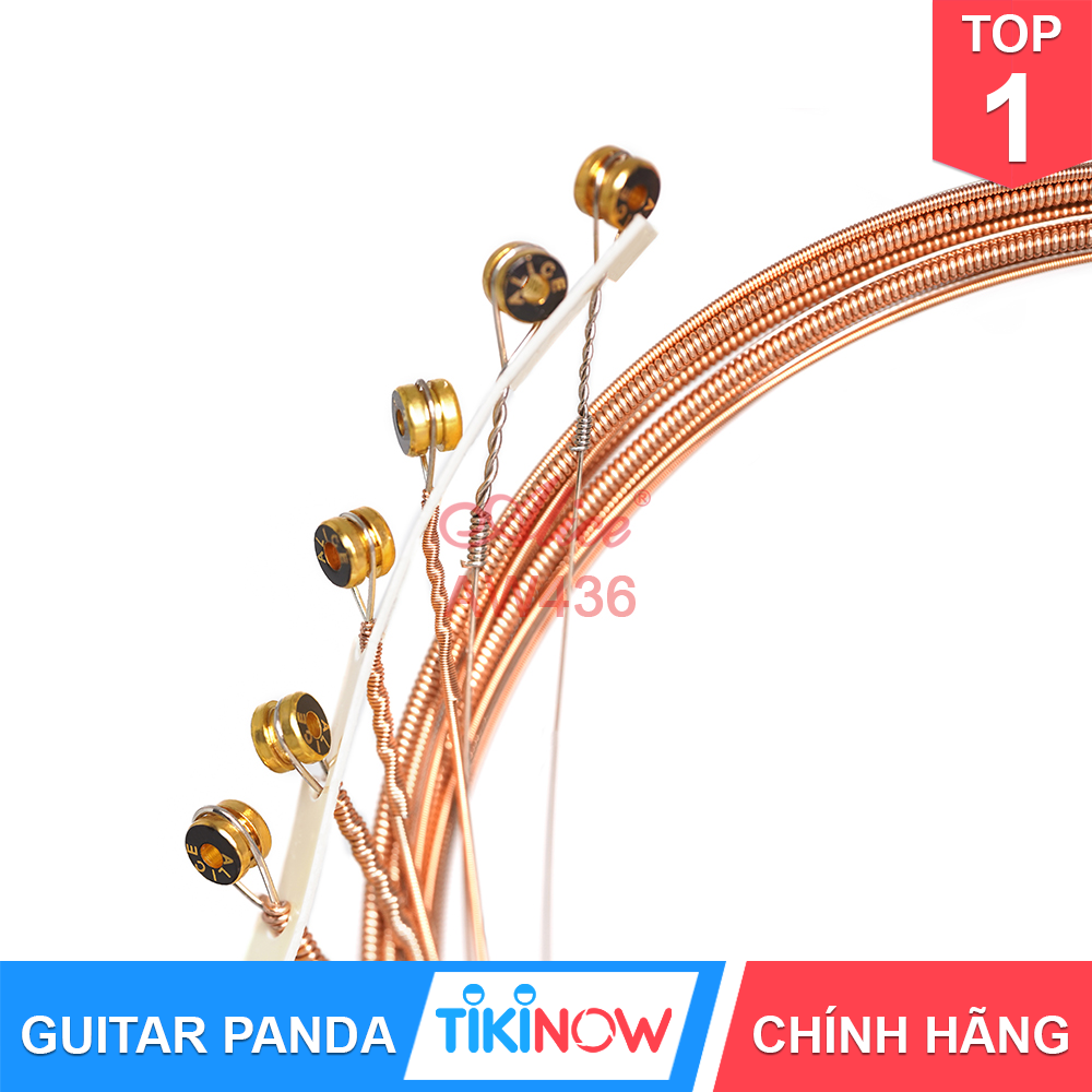 Dây Đàn Guitar Acoustic Cao Cấp Alice AW436 GUITAR PANDA