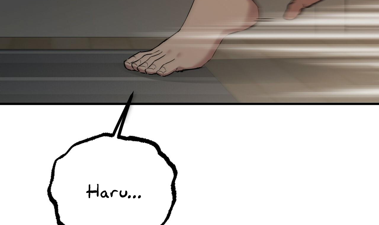 những chú thỏ của hapypy chapter 56 58