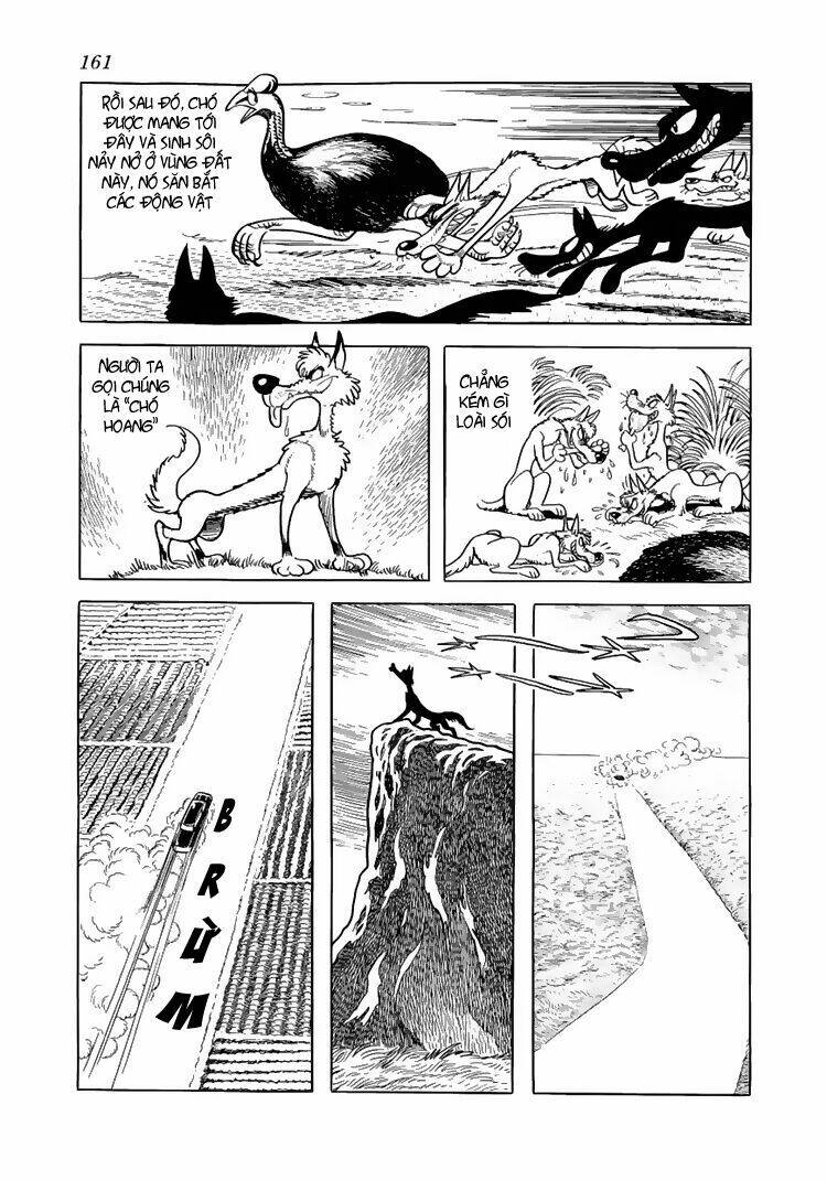 bác sĩ quái dị chapter 47 5