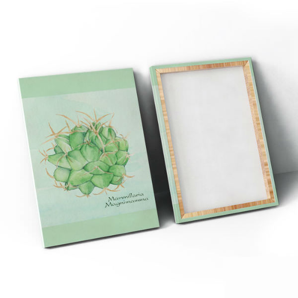 Bộ 3 Tranh Canvas Không Viền Treo Quán Cà Phê "Xương Rồng" W102