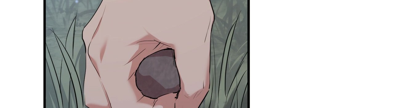 đàn thỏ của habibi chapter 22 351