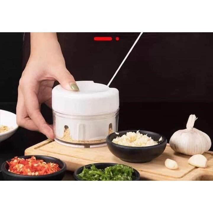 DỤNG CỤ XAY TỎI MINI team yêu bếp