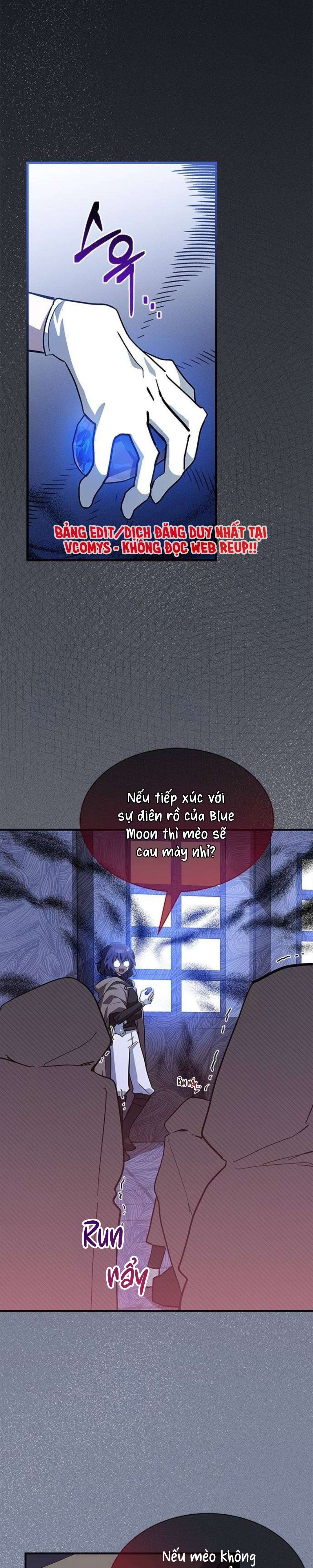 mèo con được gia tộc sói nhận nuôi? chapter 31 15