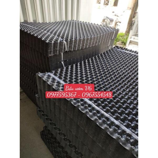 Bầu ươm V6 thông minh loại 20 cm dày 0.7mm tặng kèm ốc vit