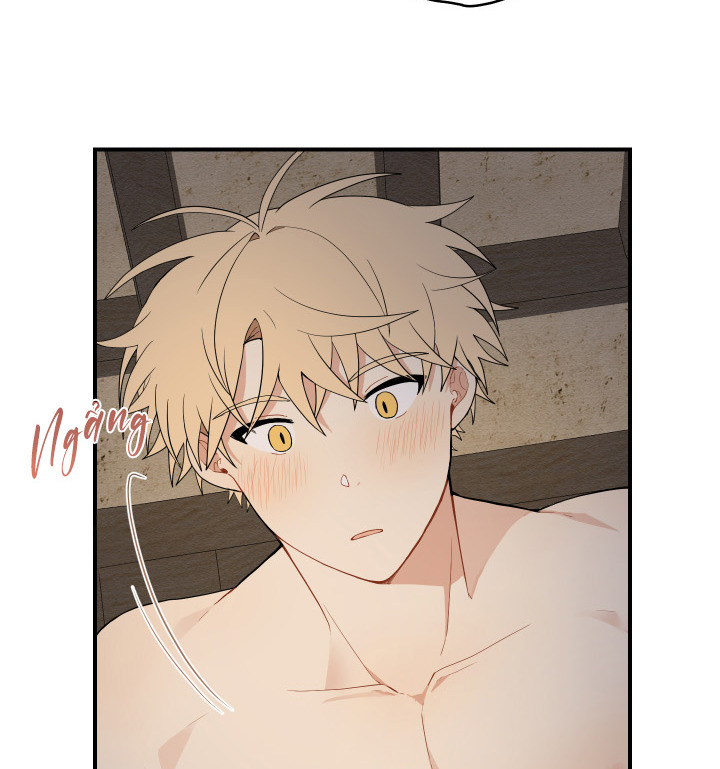 đường hoa liên kiều rơi chapter 16 31