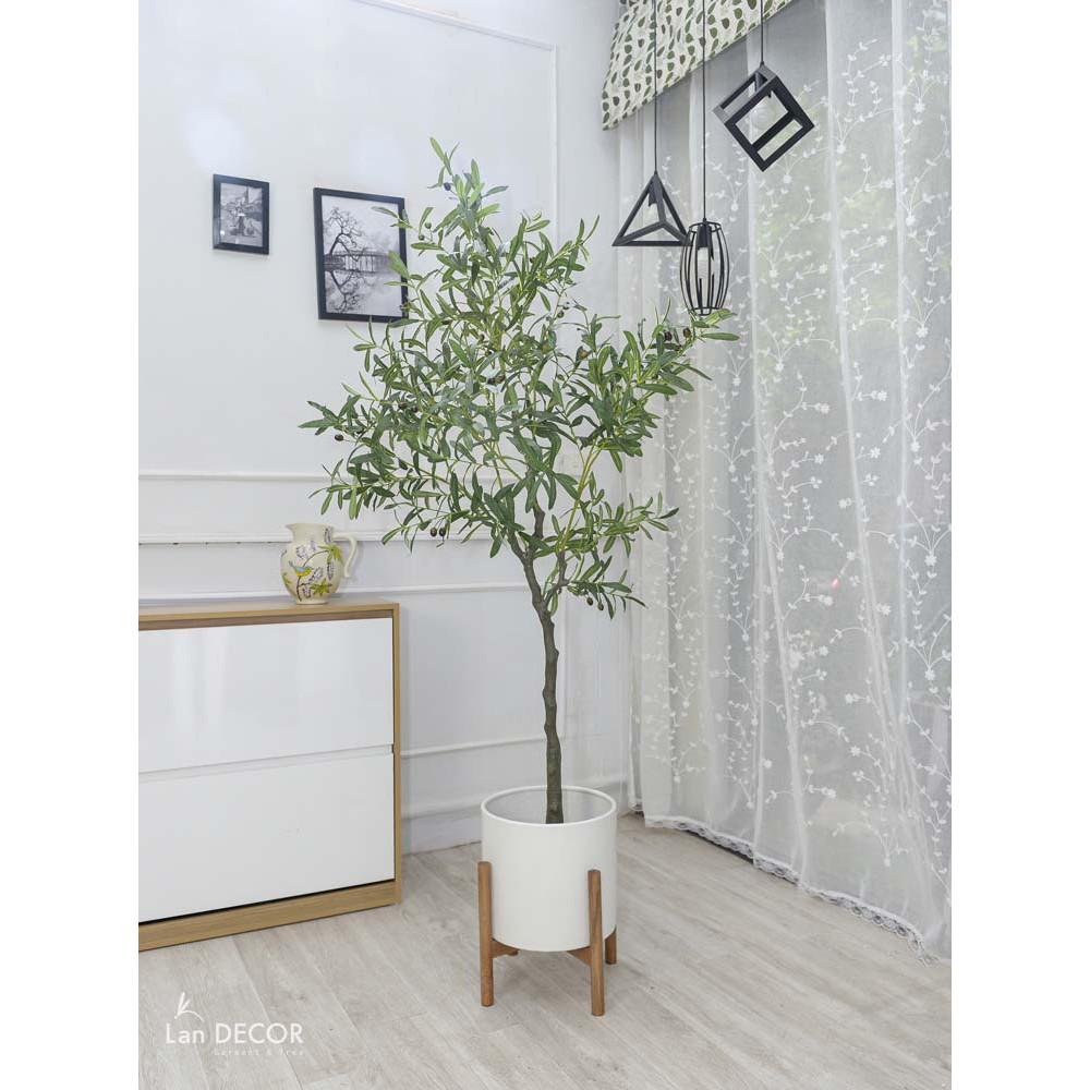 Cây giả - Cây oliu trang trí nhà, tiểu cảnh ban công đẹp cao 165cm - LC3045