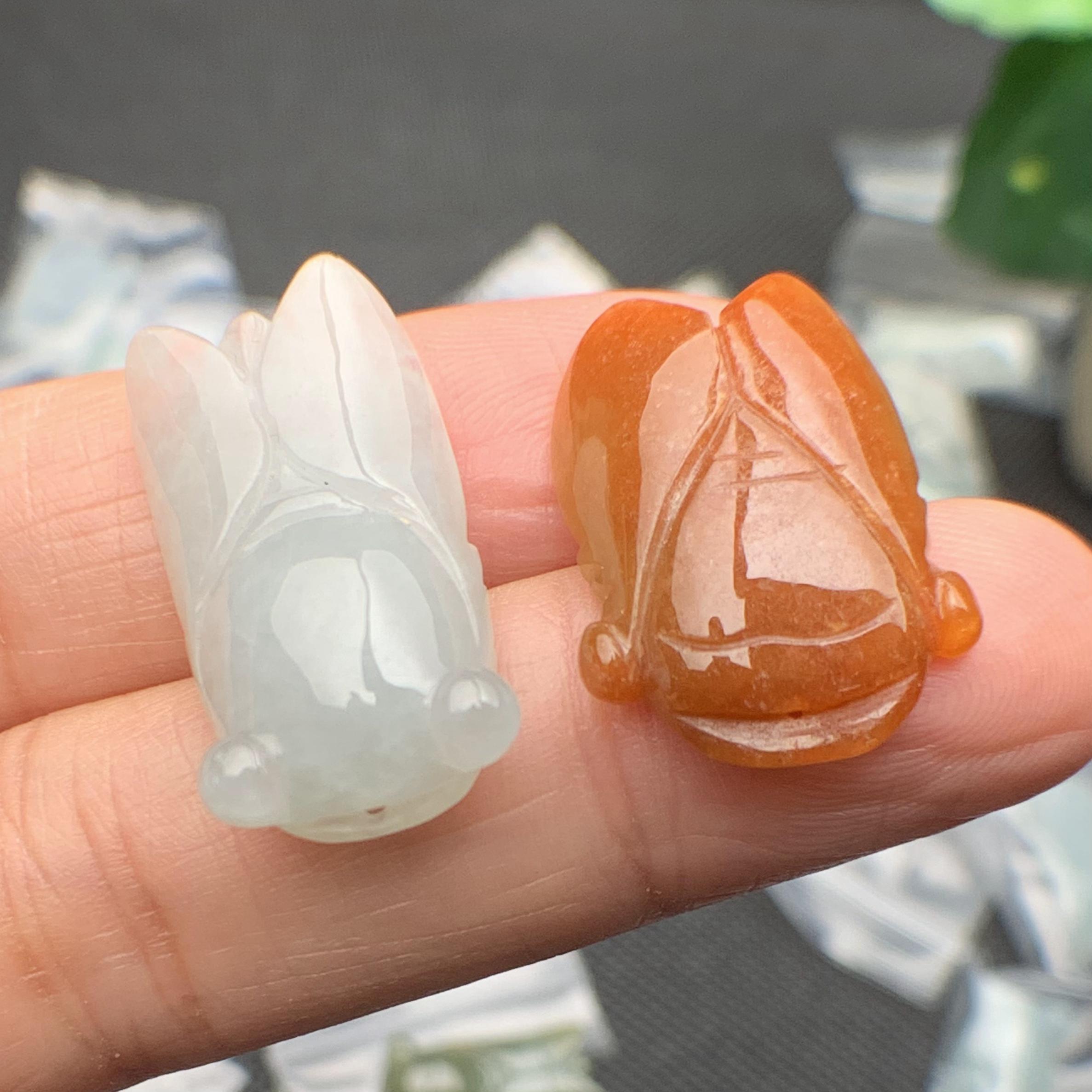 Ve sầu ngọc phỉ thúy tự nhiên Jadeite A