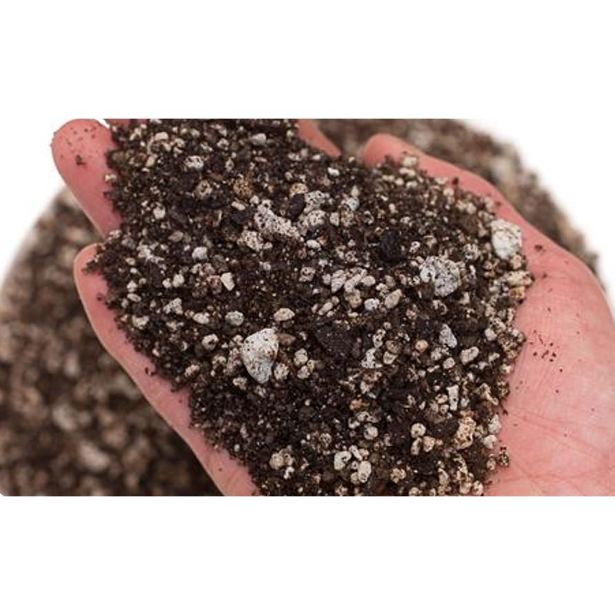 1kg Đá bọt Pumice Indonesia