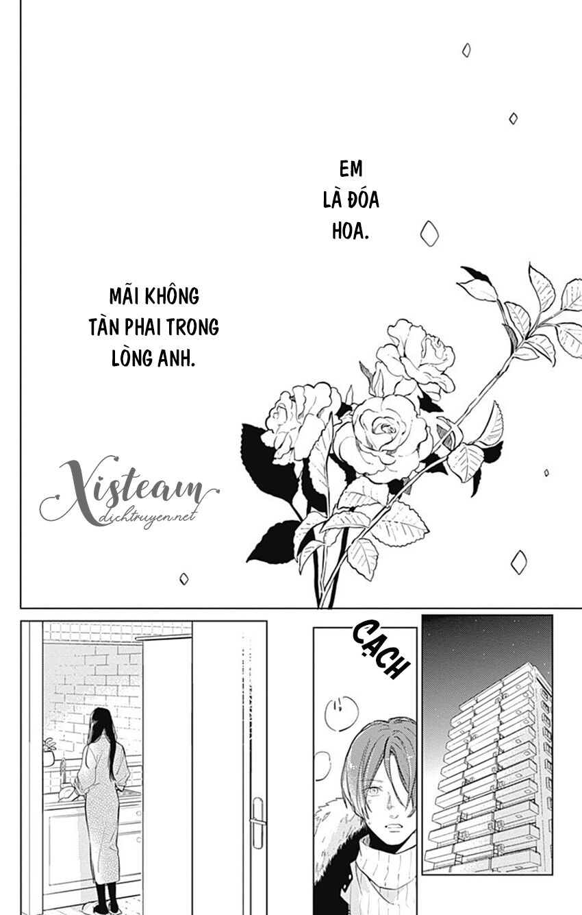 Cảm Xúc Ngọt Ngào chapter 62.5 51