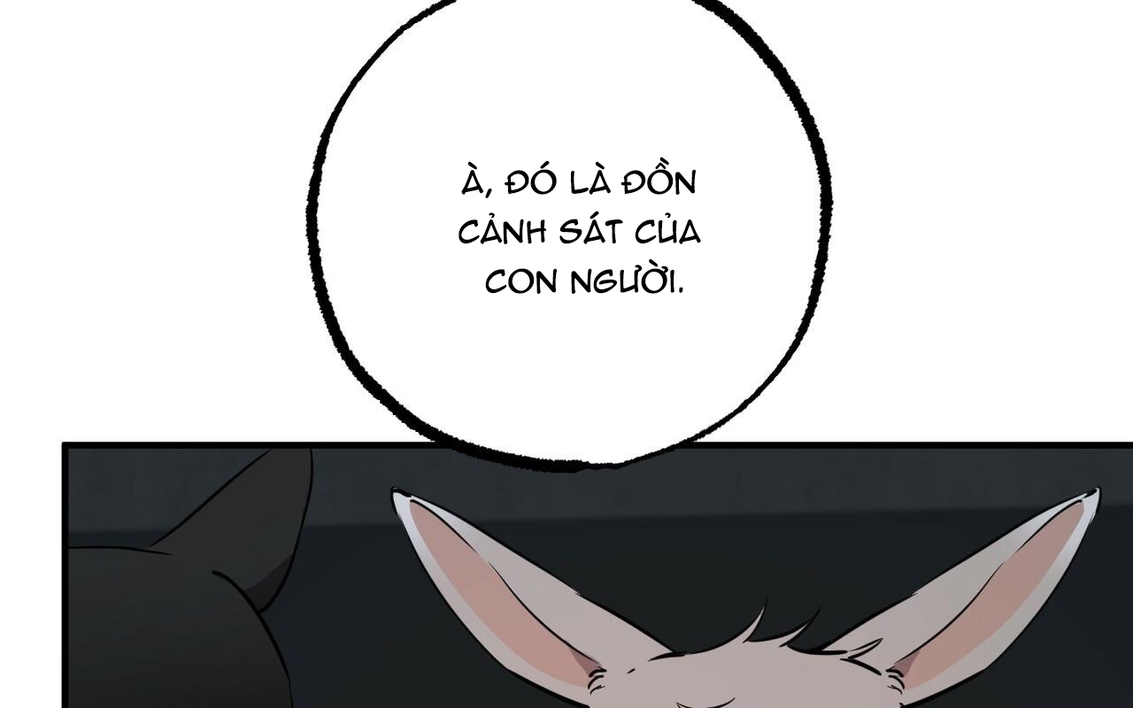 đàn thỏ của habibi chapter 46 267