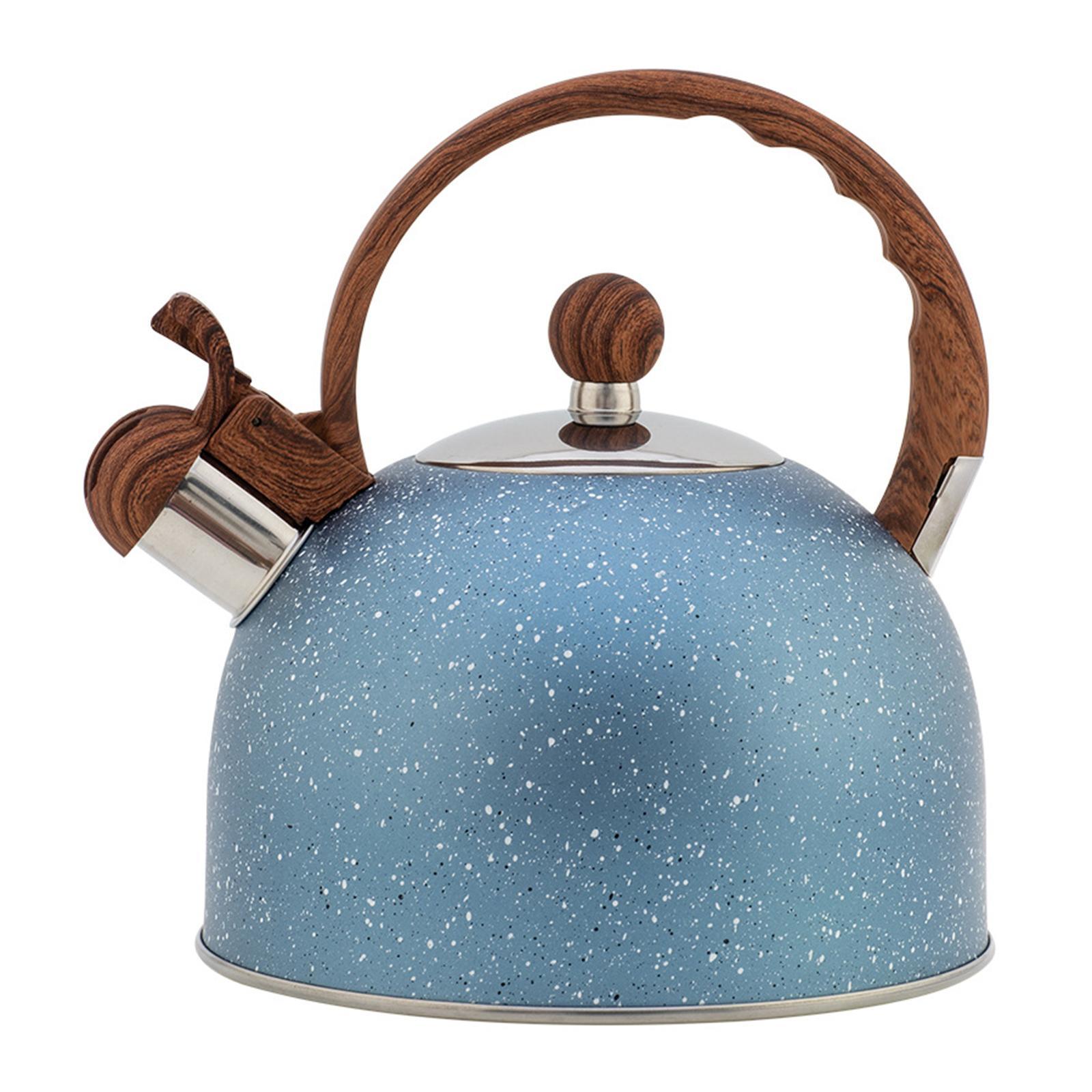 Stainless Steel Kettle Enamel Tea Kettle Kitchenware