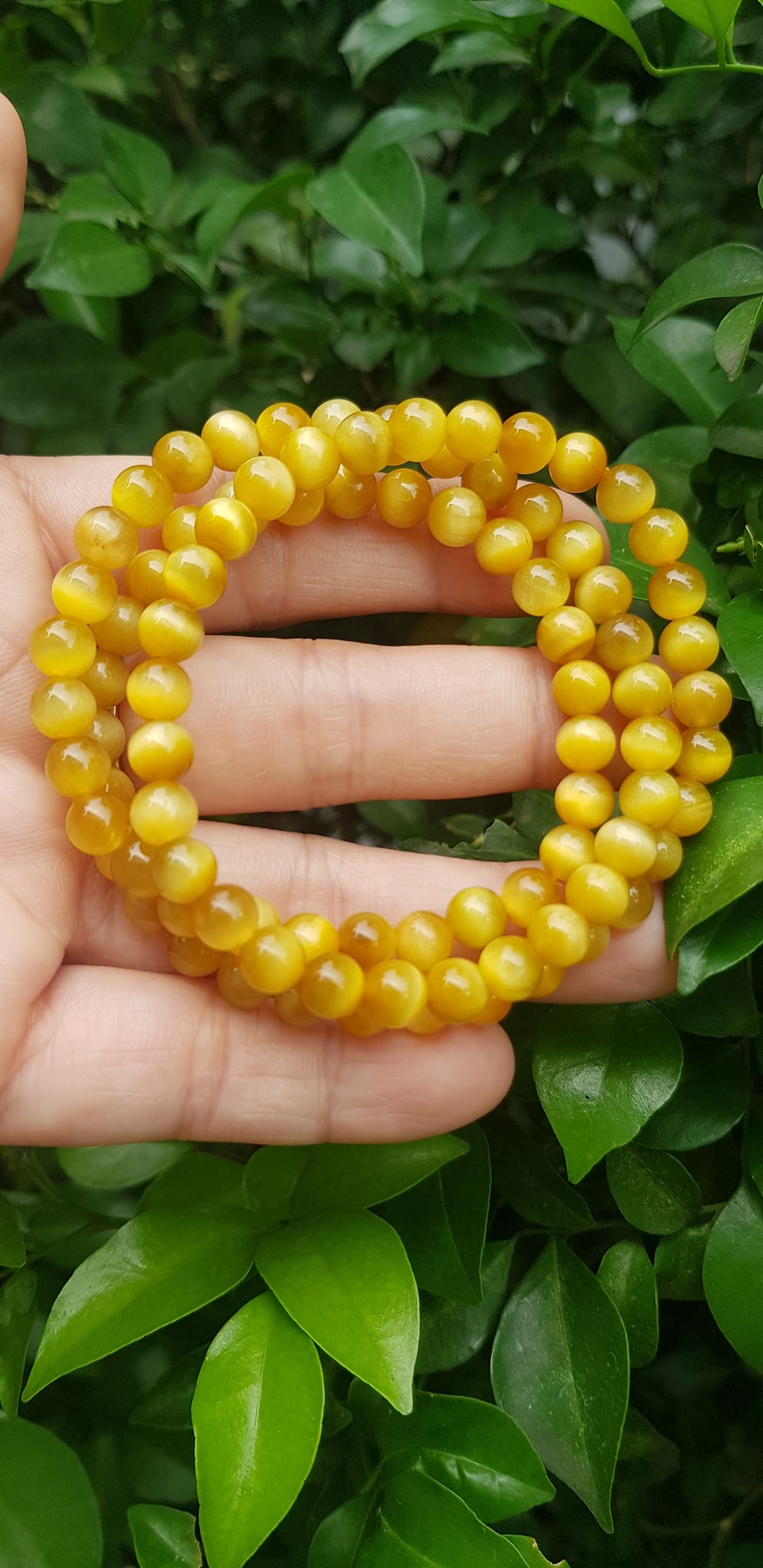 Vòng tay nữ đá mắt hổ tự nhiên vàng anh vip 6mm quấn tay 3 vòng đẹp vòng màu vàng anh tươi đẹp hợp nữ mệnh kim mệnh thổ mệnh thuỷ đeo tay may mắn xinh đẹp sang tay ạ