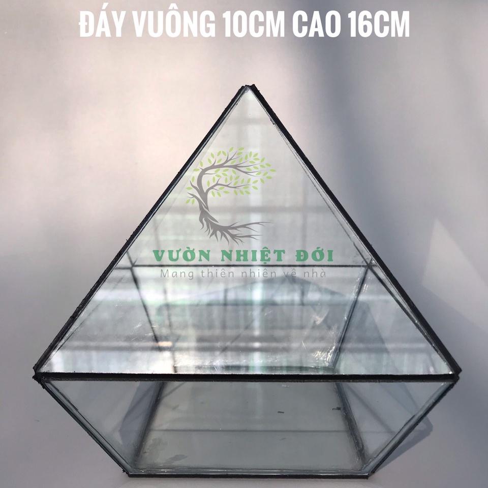 Bể Terrarium Đa Giác Setup Bán Cạn Để Bàn Làm Việc