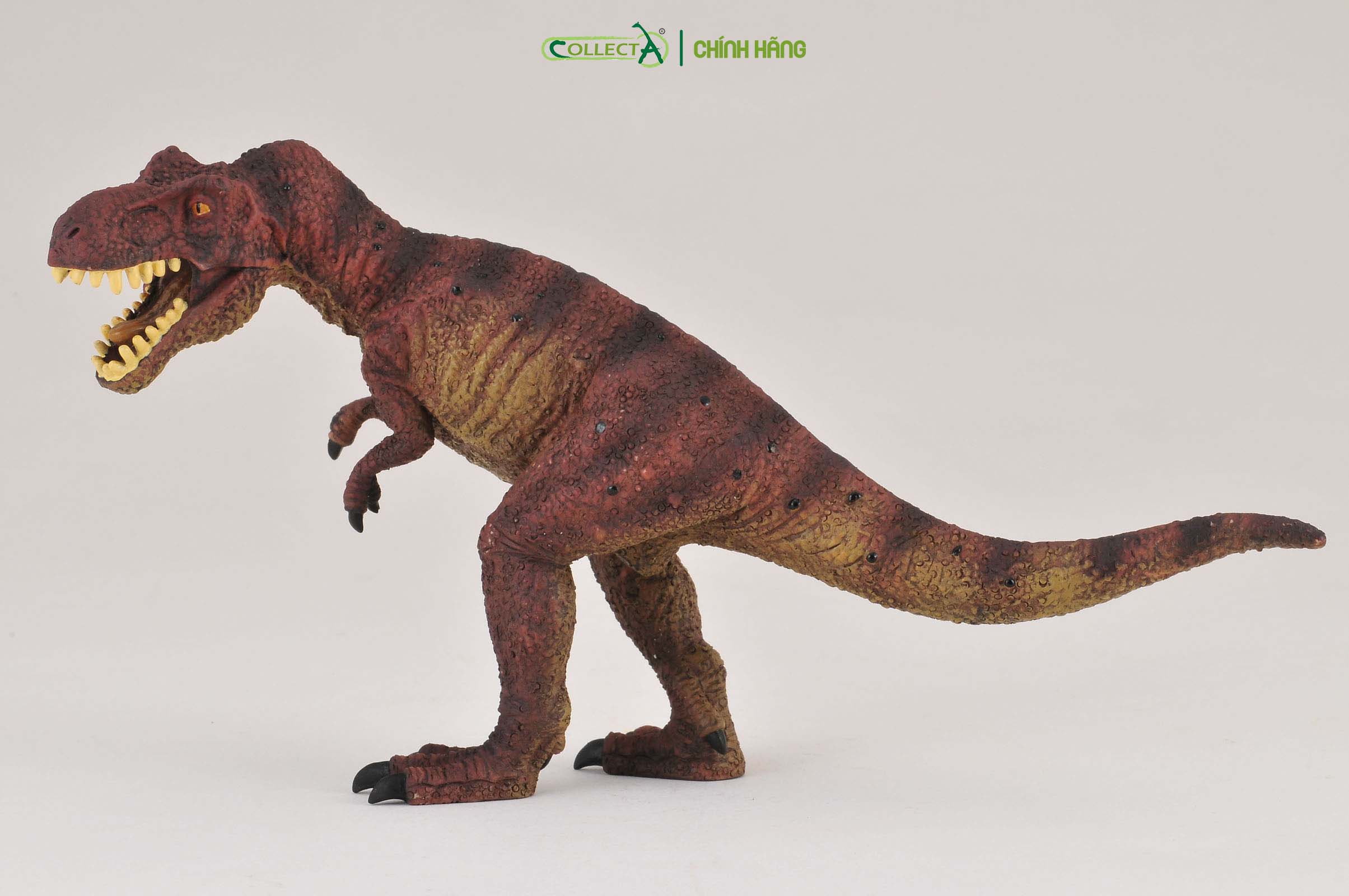 Mô hình thu nhỏ: Khủng Long Tyrannosaurus Rex  - Tyrannosaurus Rex , hiệu: CollectA, mã HS 9654080[88036] -  Chất liệu an toàn cho trẻ - Hàng chính hãng