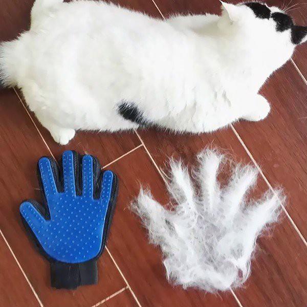 Găng tay tắm + chải lông cho chó mèo