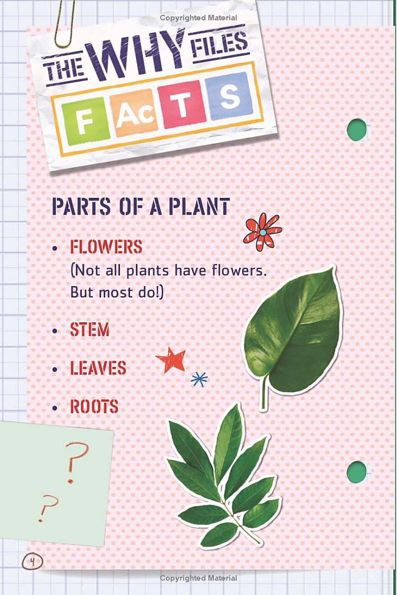 Ada Twist, Scientist: The Why Files #2: All About Plants!