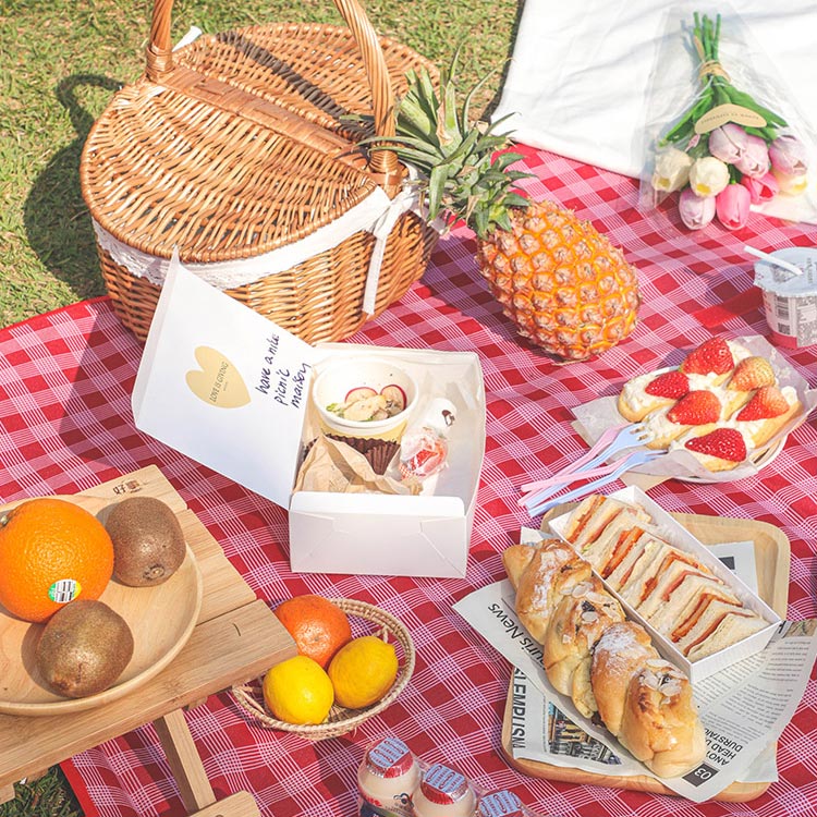 THẢM DÃ NGOẠI, DU LỊCH, PICNIC CAO CẤP - Chống thấm nước, họa tiết caro, gấp gọn tiện lợi - 2 kích thước khách chọn màu!