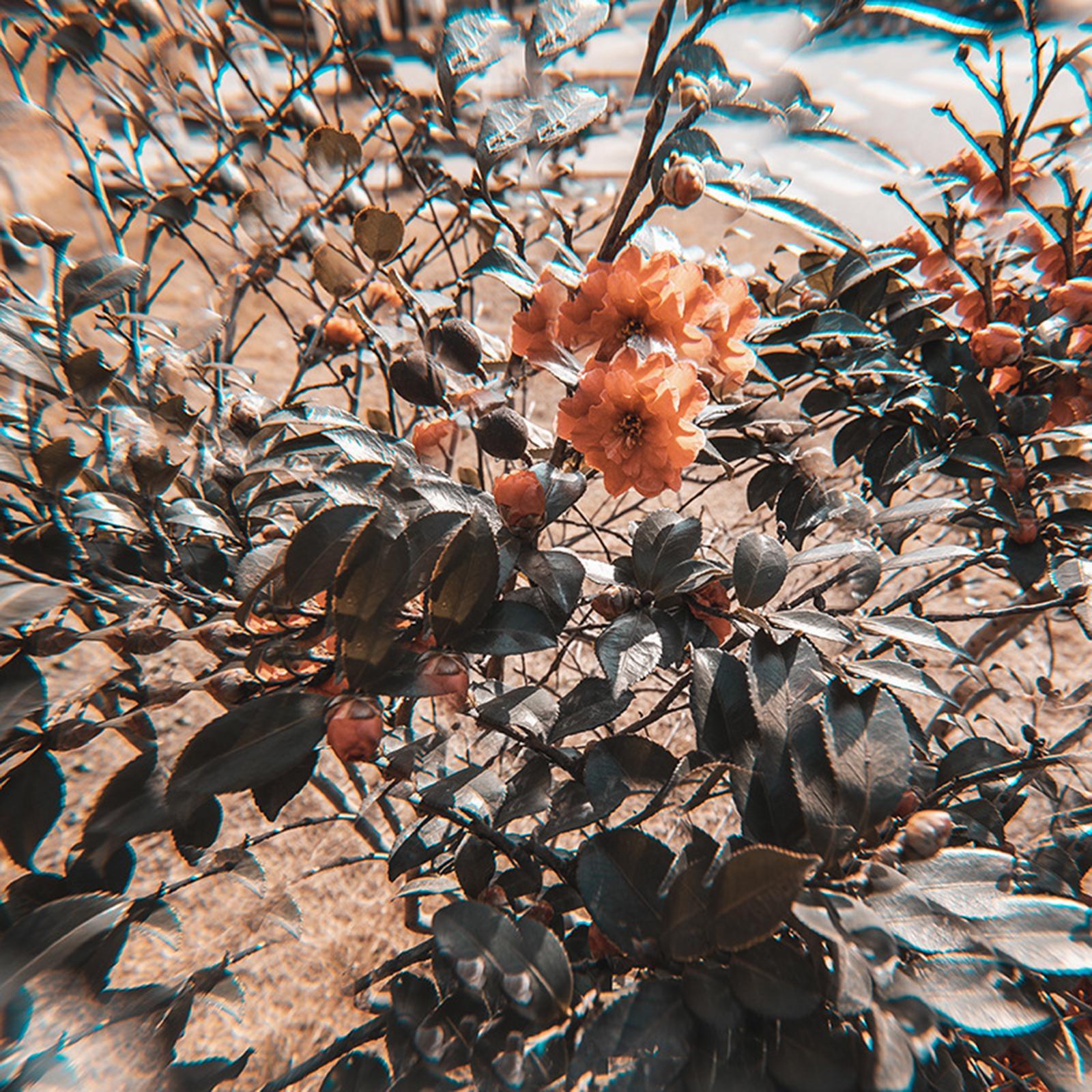 Kaleidoscope Glass Prism77mm Kaleidoscope Camera Glass Filter Variable