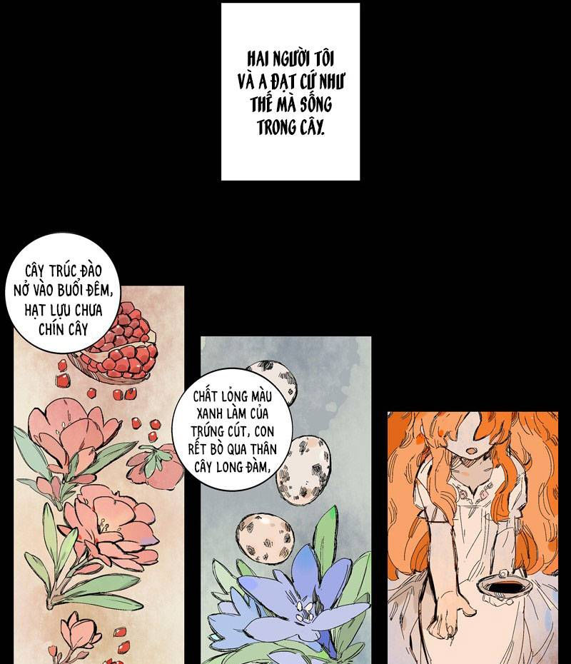 hộ vệ hoa hồng chapter 6 7