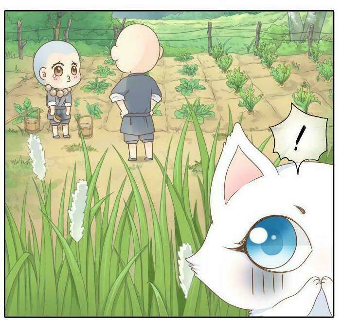 tiểu hồ ly vs tiểu hóa thượng chapter 1 12