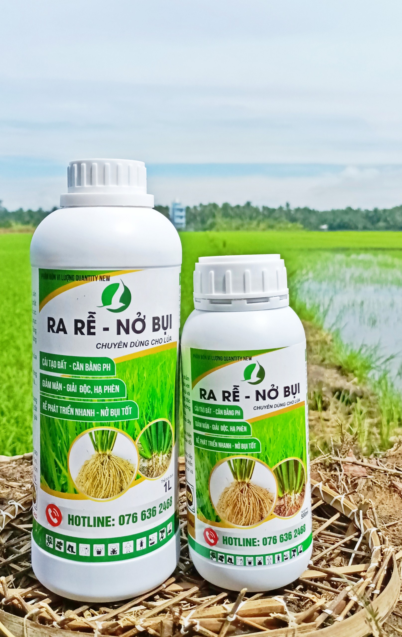 PHÂN BÓN GIÚP LÚA RA RỄ, NỞ BỤI MẠNH, PHÁT TRIỂN NHANH, XANH LÁ, MƯỚT LÁ - RA RỄ NỞ BỤI CHAI 1L