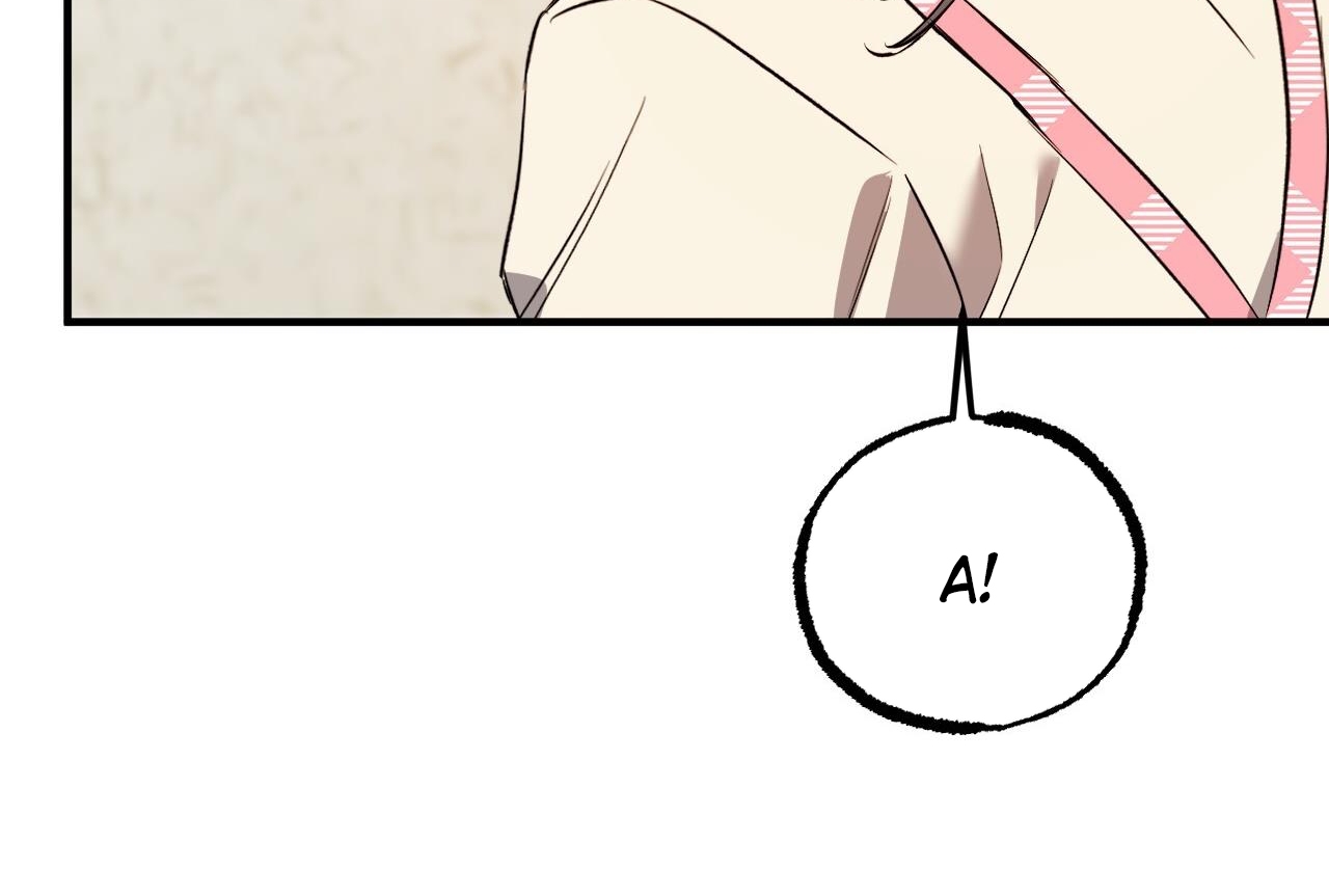 đàn thỏ của habibi chapter 65 262