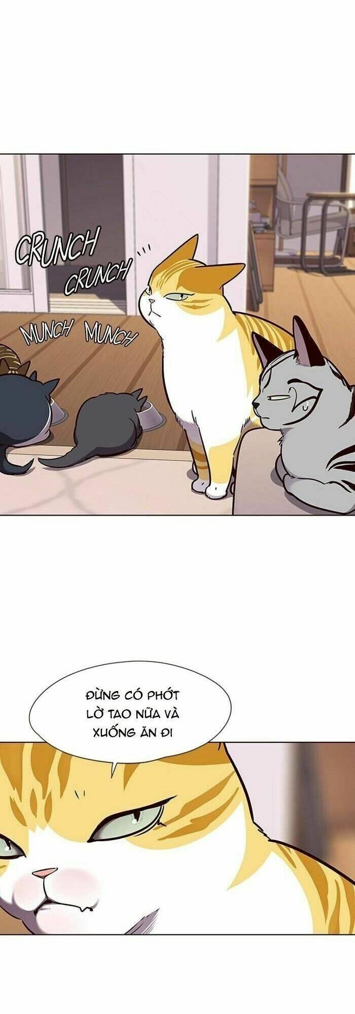 biến thân thành mèo chapter 56 39