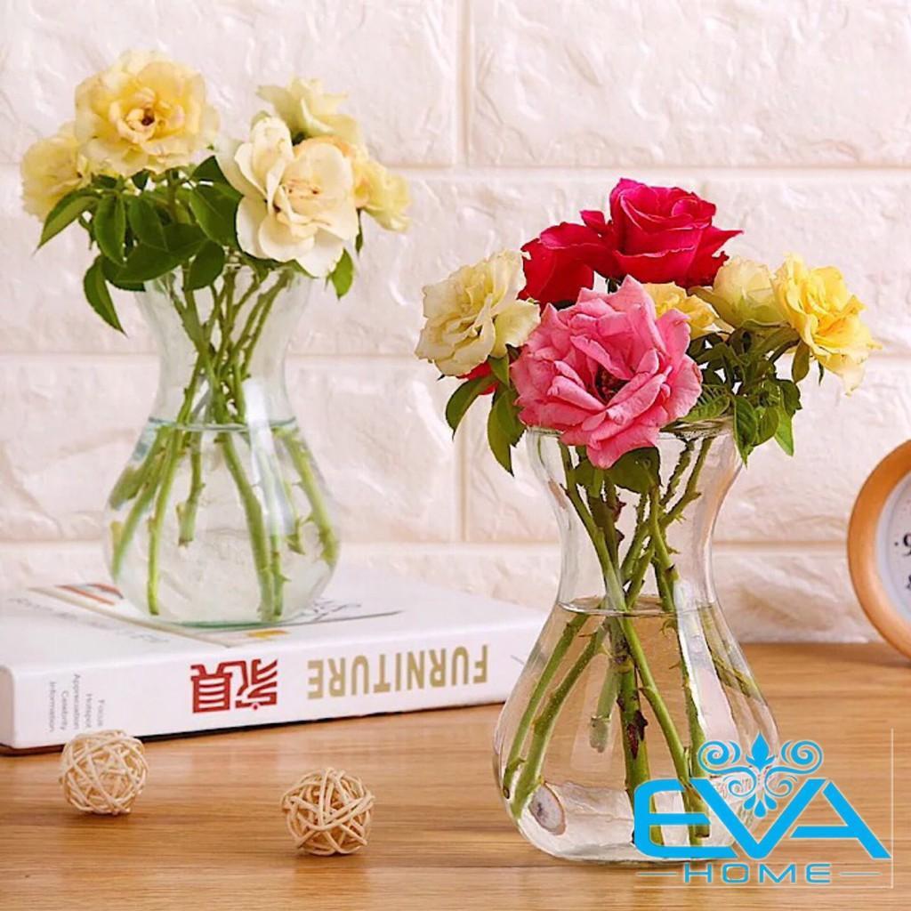 Combo 2 Lọ hoa thủy tinh miệng loe 14cm, lọ cây thủy tinh trang trí bàn làm việc cực đẹp