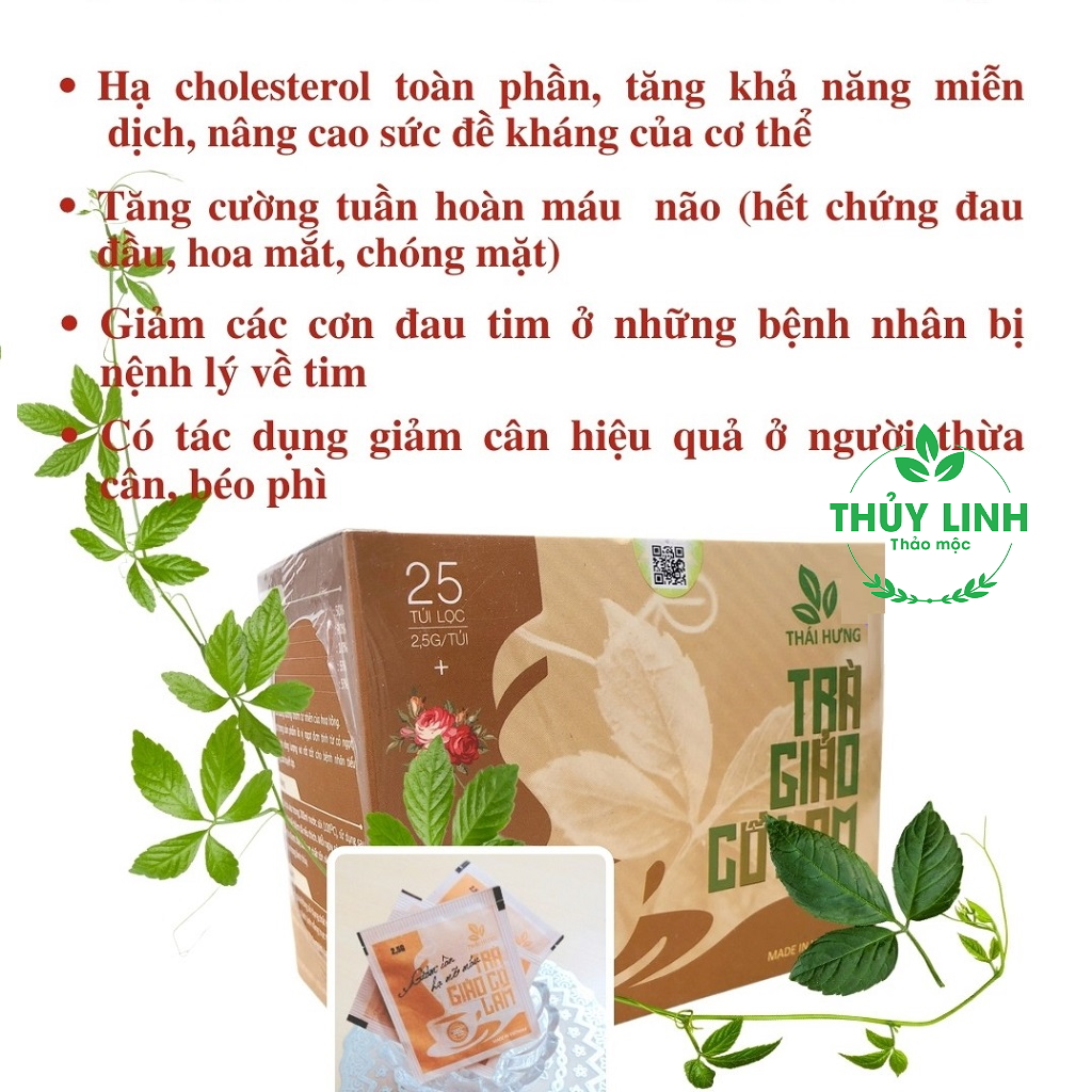 Combo 04 Hộp Trà thảo dược cao cấp Thái Hưng: GIẢO CỔ LAM (25 túi lọc 2,5g)