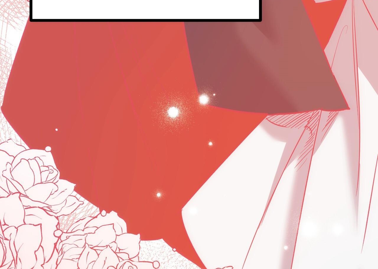 những chú thỏ của hapypy chapter 63 85