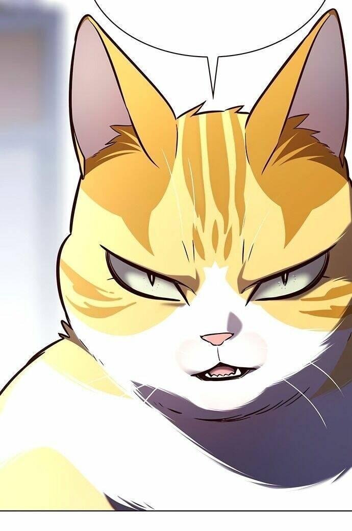 biến thân thành mèo chapter 189 68