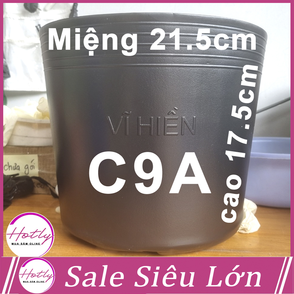 100 Chậu nhựa C9.A 21.5x17.5cm trồng cây ăn trái và hoabền 10 năm -77120