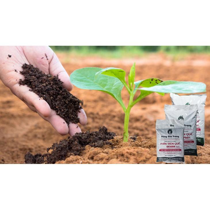 Phân bón trùn quế hữu cơ nguyên chất bổ sung dinh dưỡng cải tạo đất cây trồng chuyên dùng cho cây cảnh - hoa - củ quả