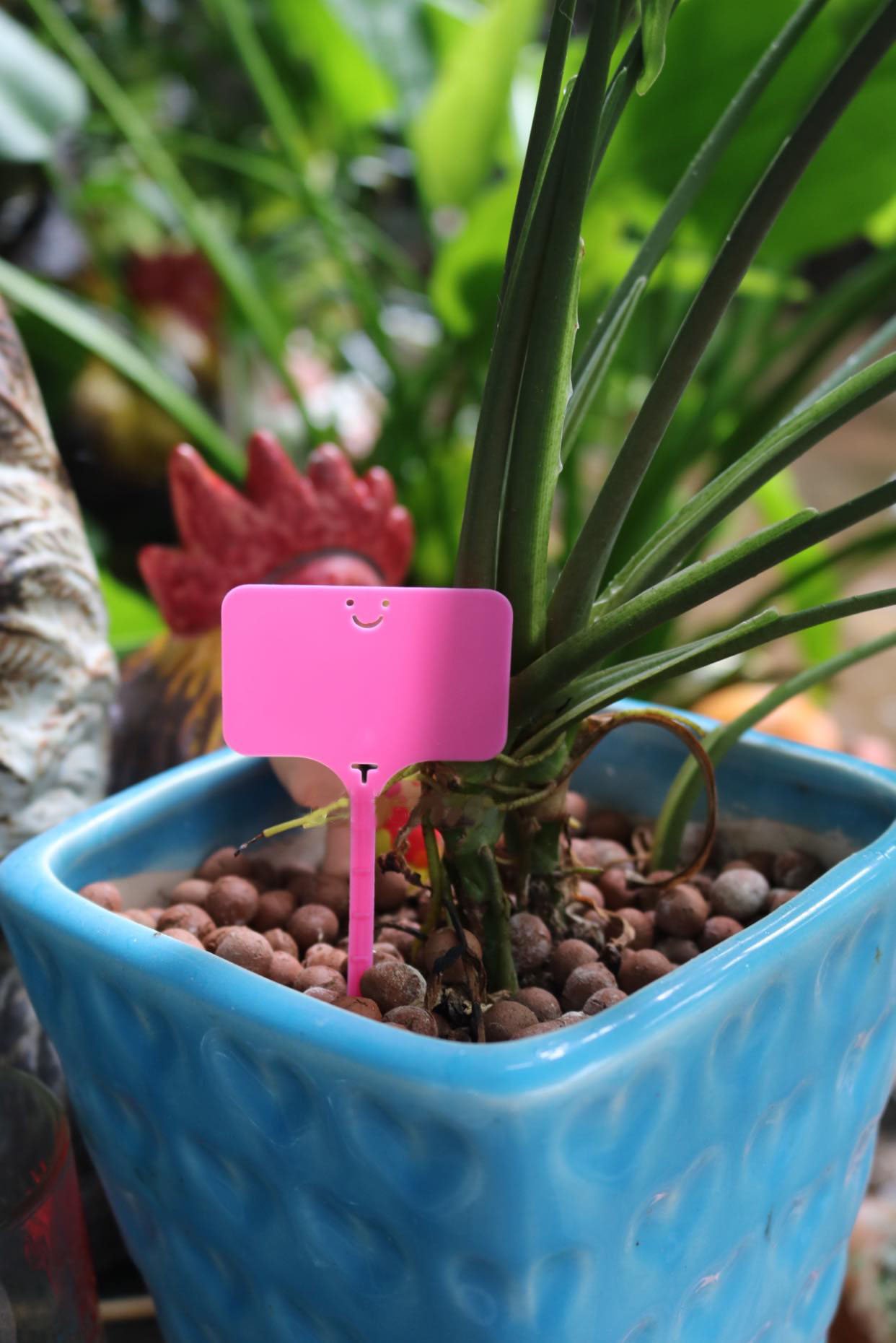 Thẻ ghi tên hoa kiểng, lan 2in1 dạng cắm và treo - bịch 100 cái