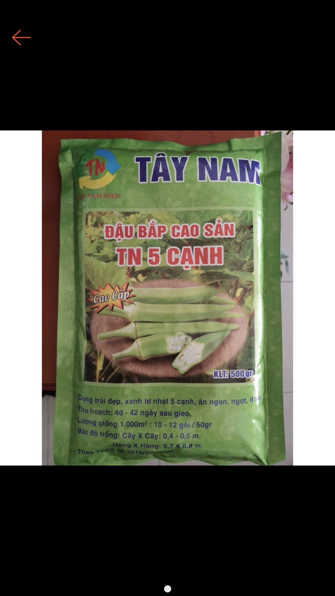 Hạt giống đậu bắp 5 cạnh tây nam 500gr