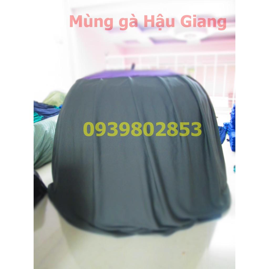 Mùng gà nòi loại tốt