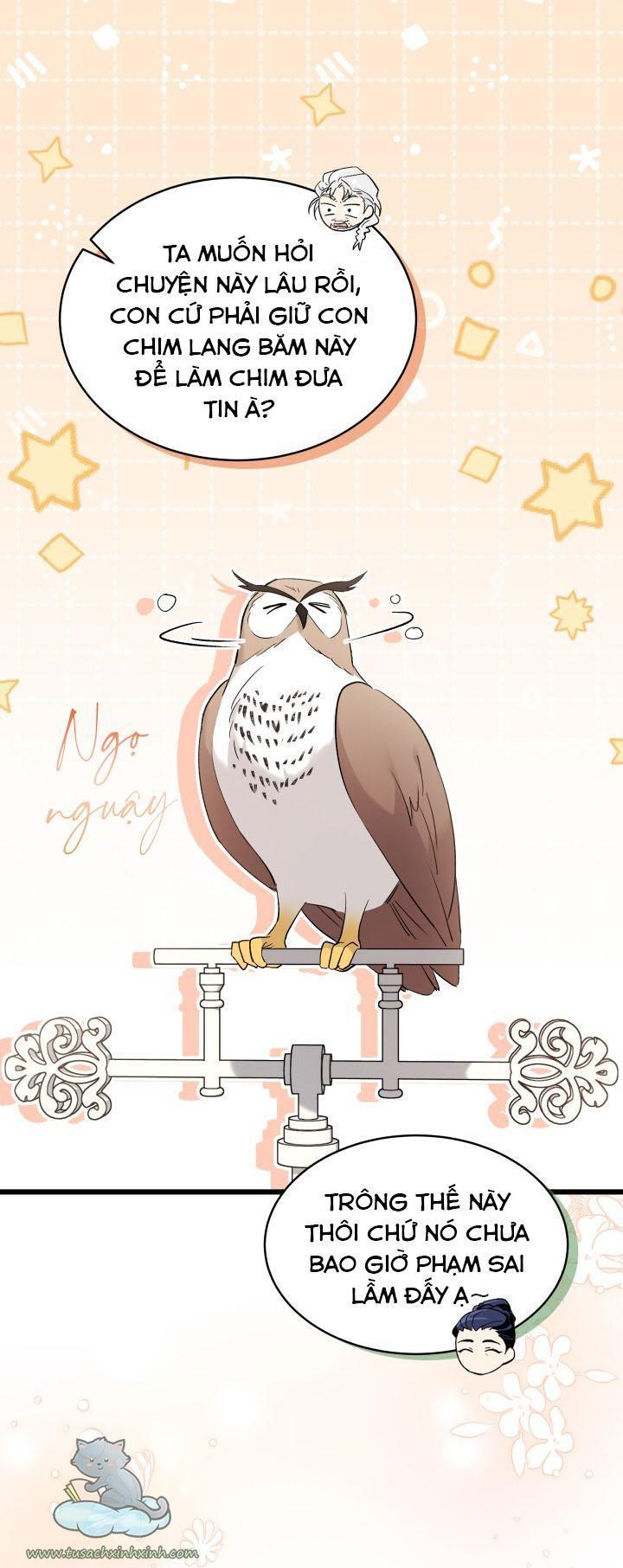 quan hệ cộng sinh giữa báo đen và thỏ trắng chapter 61 17