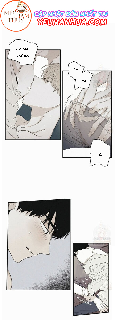 chiếu tướng chapter 16 19