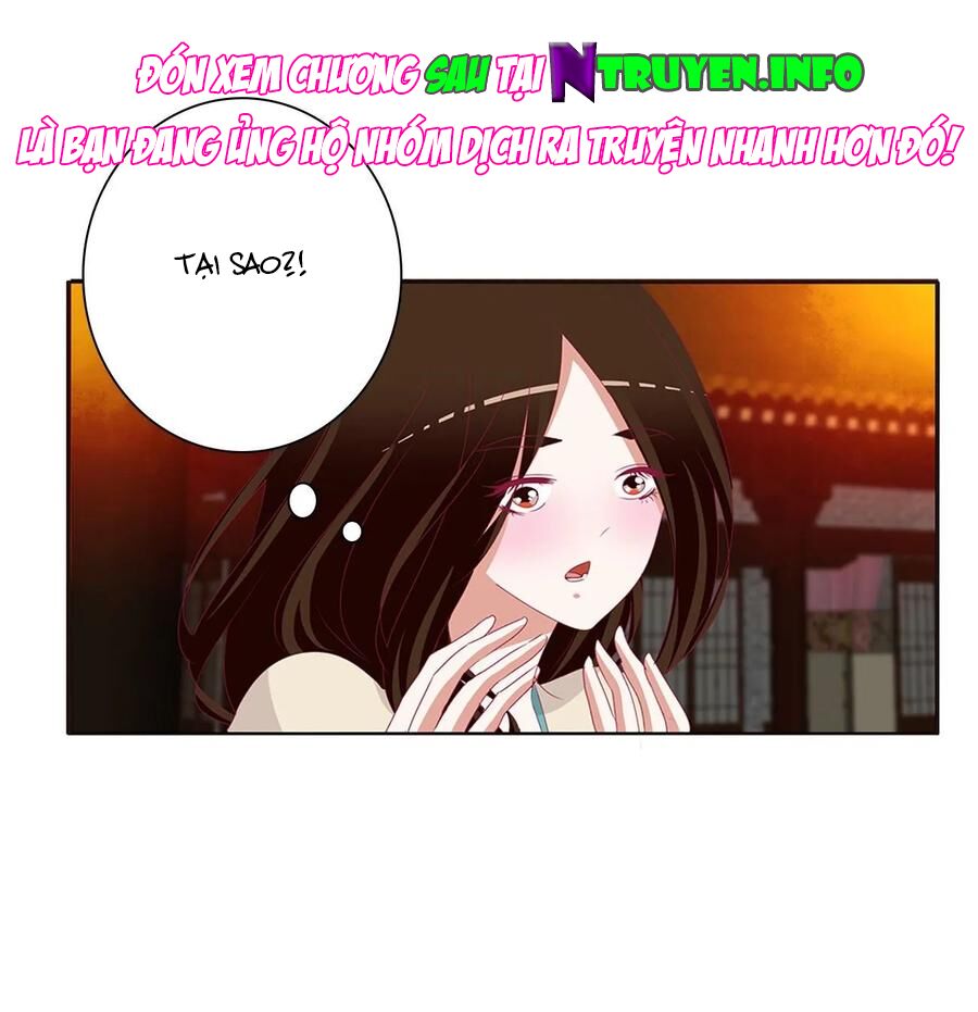 thông linh phi chapter 636 13