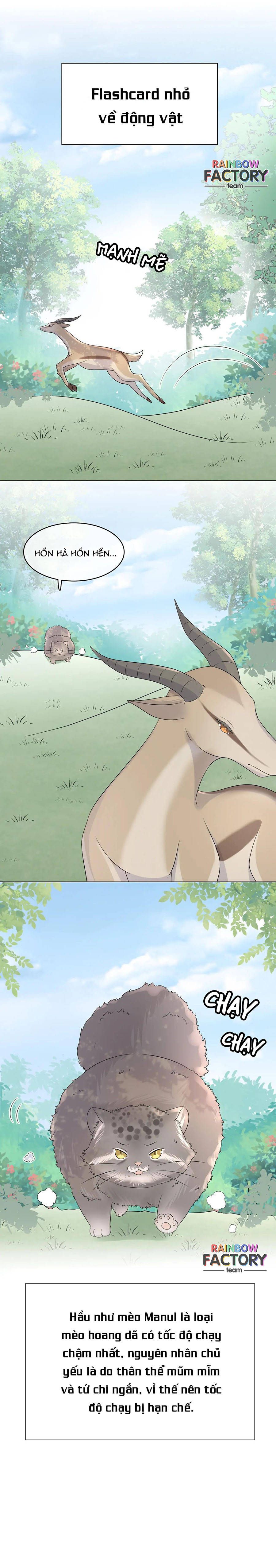 ăn một bé thỏ chapter 12 8