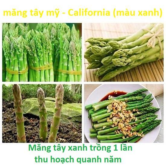 Hạt Giống Măng Tay Xanh/Tím - California gói 0.5gr
