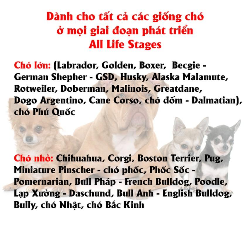 Thức Ăn Hạt Cho Chó Bulldog Nutrience Subzero Bao 5kg - Thức Ăn Cho Chó Gồm Có 6 Loại Thịt Cá, Rau Củ, Trái Cây